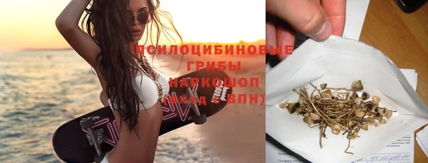 дурь Алзамай
