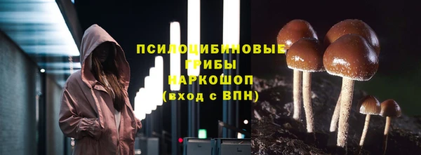 дурь Алзамай