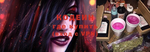 дурь Алзамай