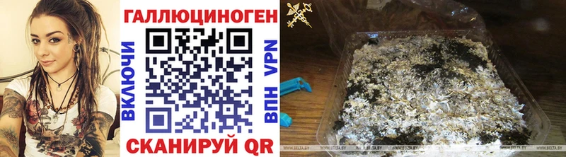 купить наркотики цена  Качканар  Галлюциногенные грибы мухоморы 