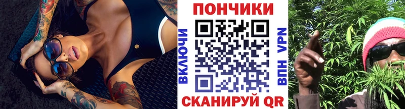 Бошки Шишки THC 21%  сколько стоит  Качканар 